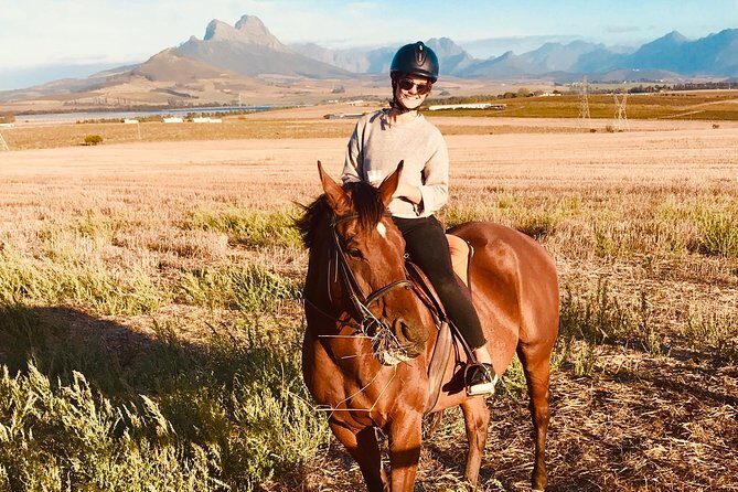 Half Day Horseback Wine Tour - Starting at Ubuntu Horse Trails (Vredenheim): What the First Hour Feels Like