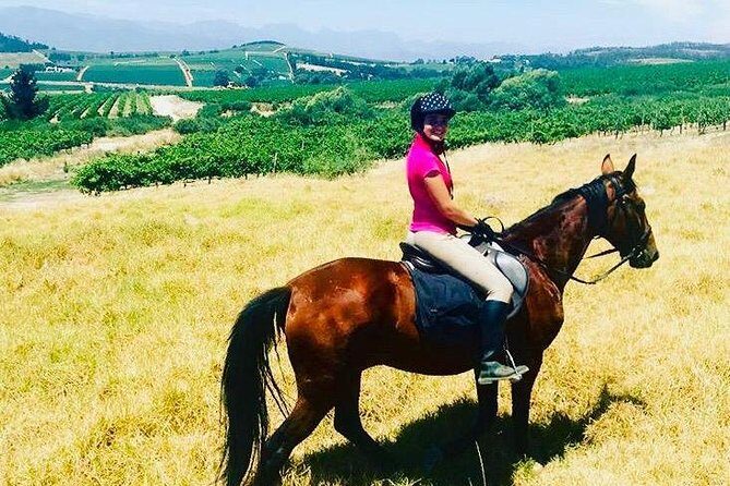 Half Day Horseback Wine Tour - The Return Stroll: What the End of the Day Gives You