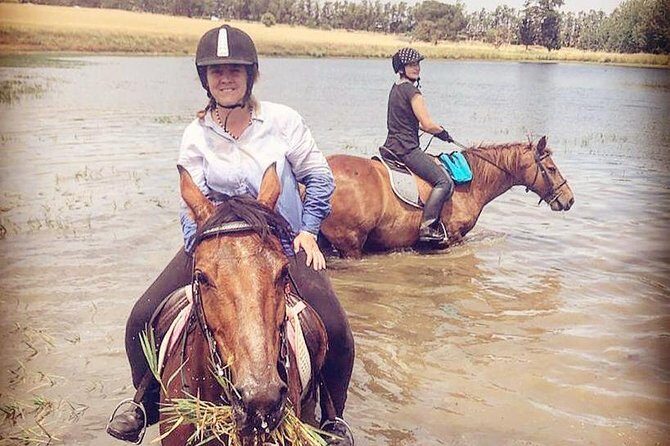 Half Day Horseback Wine Tour - The Ride Across Four Winefarms: Views, Wildlife, and Pace Control