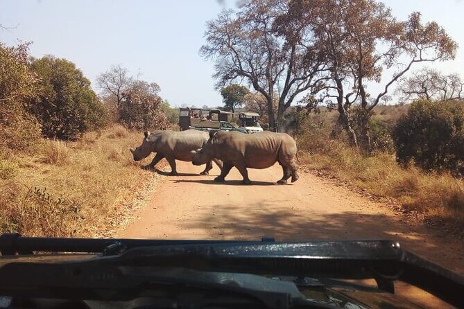 Half Day Kruger Open Vehicle Safari from Marloth Park - Price and real value: what you pay at booking vs what you’ll pay at the gate