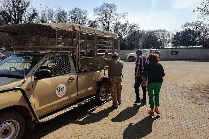 Half Day Lion and Safari Park Tour - Entering the Lion and Safari Park experience (more than just seeing lions)