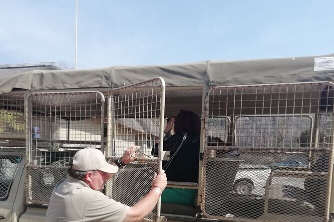 Half Day Lion and Safari Park Tour - Price and value: what you’re really paying for at $103.89