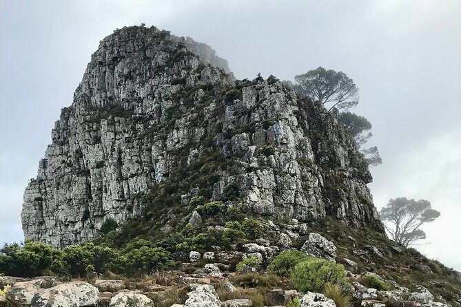 Half-day Lion's Head Hike in Cape Town - Timing matters: sunrise and sunset views over the Atlantic