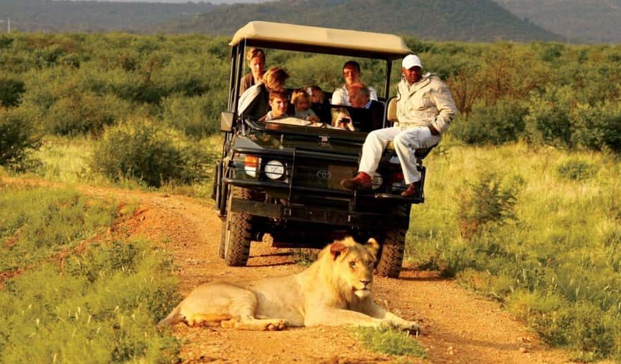 Half Day Natal Lion P & Tala Game Reserve from Durban Safari - Tala Private Game Reserve Game Drive: Rhino-Spotting With a Ranger