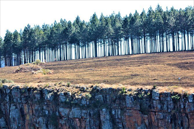 Half Day Panorama Guided Tour - Graskop and the Blyde River Canyon corridor: why the drive time is part of the experience