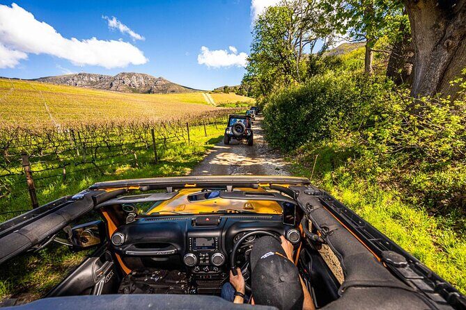 Half day Peninsula & Wine Combo tour - Key highlights at a glance