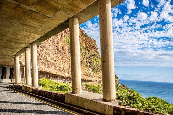 Half day Peninsula & Wine Combo tour - Buying this tour: half-day, but packed with meaning
