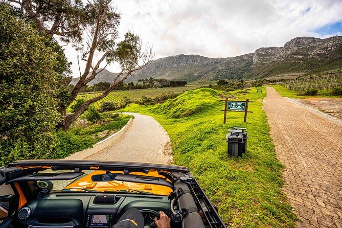 Half day Peninsula & Wine Combo tour - Hout Bay: fishing-village charm to seaside suburb