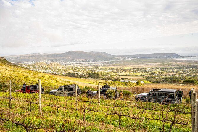 Half day Peninsula & Wine Combo tour - Chapman’s Peak Drive: your timed photo moment