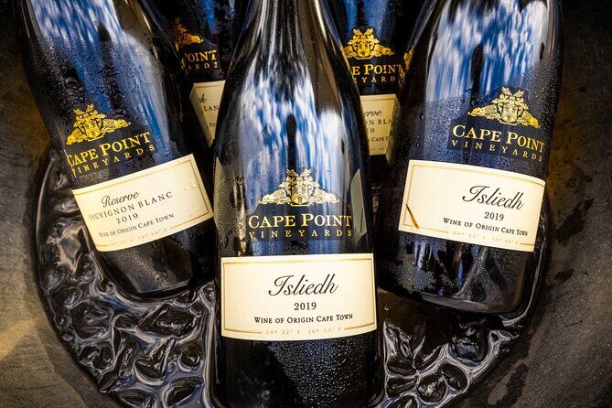 Half day Peninsula & Wine Combo tour - Cape Point Vineyards: off-road trail, tasting room, and a real lunch