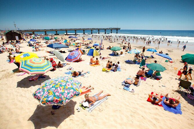 Half-Day Port Elizabeth & Kragga Kamma Reserve - Who this half-day tour is perfect for