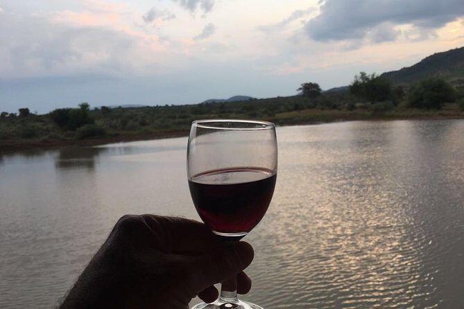 Half day safari from johannesburg - Tips to improve your chances on a half-day schedule