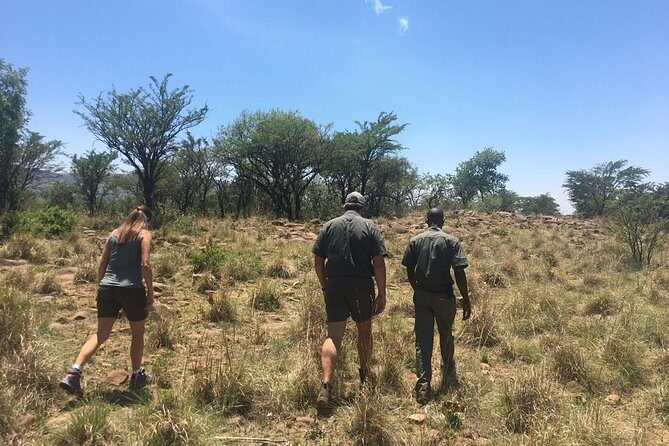 Half Day Safari Tour from Johannesburg - Quick highlights you’ll feel on the ground