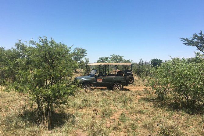 Half Day Safari Tour from Johannesburg - Hotel pickup from Johannesburg or Pretoria: the easy start you want