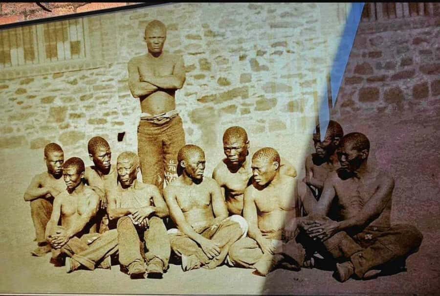 Half Day Soweto and Apartheid Museum Guided Tour - Apartheid Museum Self-Guided Time: Plan Your 2 Hours