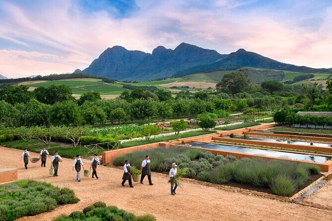 Half Day Stellenbosch Winelands Private Tour from Cape Town - The Stellenbosch drive-by: getting your bearings fast