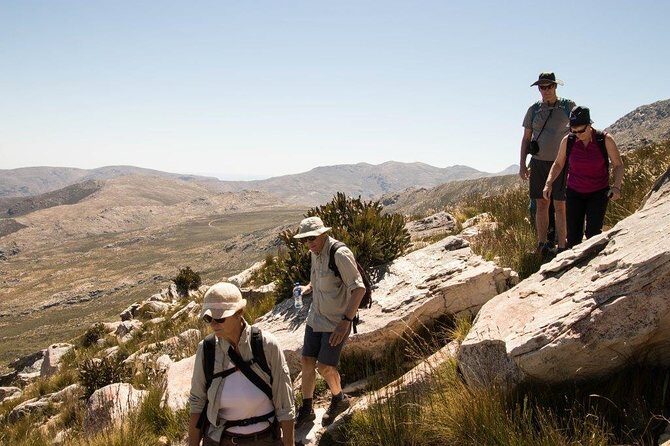 Half-Day Swartberg Pass PRIVATE Tour (including lunch & transfer - Oudtshoorn) - Price and what you’re actually paying for