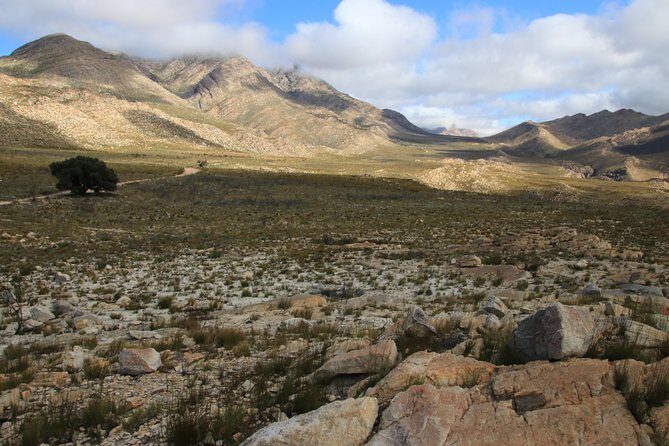 Half-Day Swartberg Pass PRIVATE Tour (including lunch & transfer - Oudtshoorn) - Lunch included: how to plan your day around a half-day tour