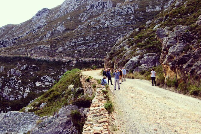 Half-Day Swartberg Pass PRIVATE Tour (including lunch & transfer - Oudtshoorn) - What the reviews reveal about the guide style (and why it matters)