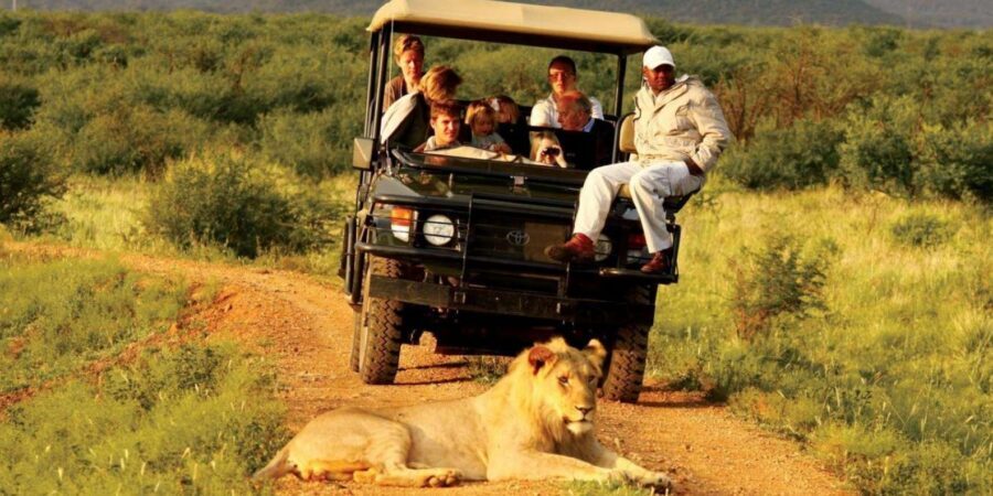 Half Day Tala Game Reserve & Natal Lion Park from Durban - What your guide adds: learning South Africa and KwaZulu-Natal