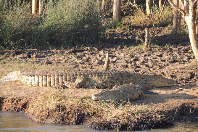 Half Day Tour in iSimangaliso Wetland Park - The 5-hour pace: a half-day that doesn’t feel rushed