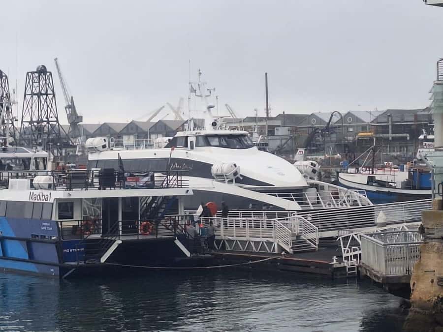 Half Day Tour to Robben Island with Pre-Booked Ticket - Pickup and transit: quick logistics, less stress
