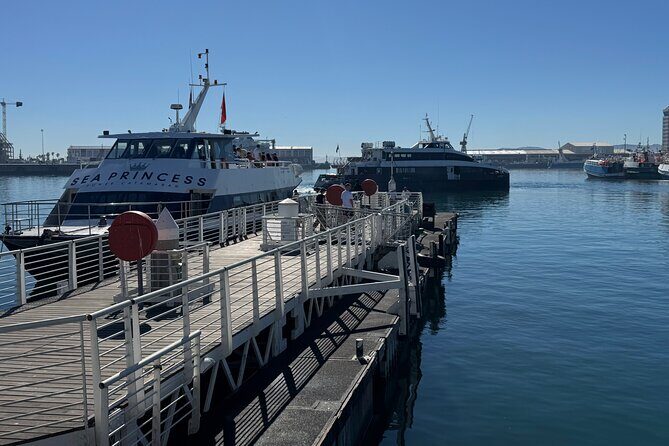 Half-Day Tour to Robben Island with Reserved Tickets. - Nelson Mandela Gateway: how your half-day really starts