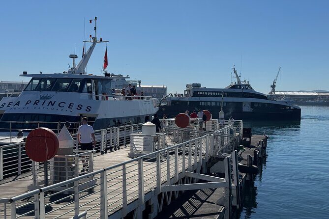 Half-Day Tour to Robben Island with Reserved Tickets. - What’s included, and what you must handle yourself