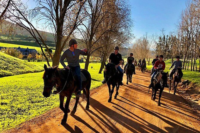 Half Day – Wine Tasting Horse Trail - Key highlights worth planning around