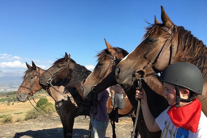 Half Day – Wine Tasting Horse Trail - Meet at Vrede en Lust and get ready to switch modes