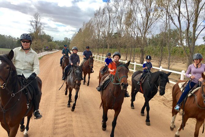 Half Day – Wine Tasting Horse Trail - Helmeted, snack-and-water comfort for a smoother 4 hours