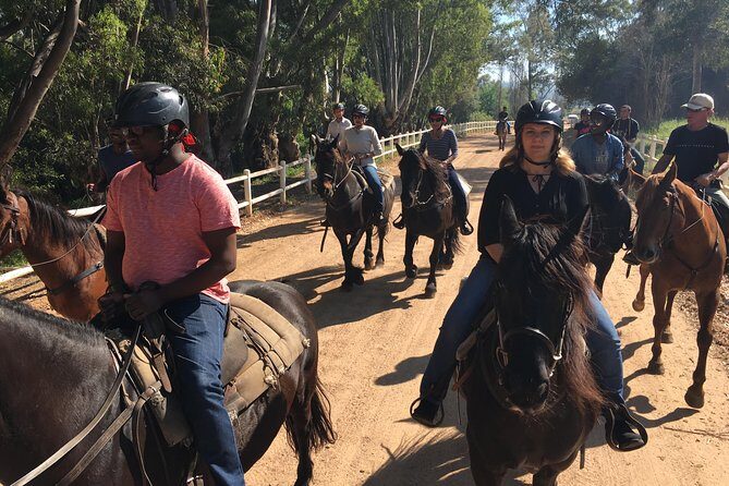 Half Day – Wine Tasting Horse Trail - Price and value: what you’re really paying for at $222.15