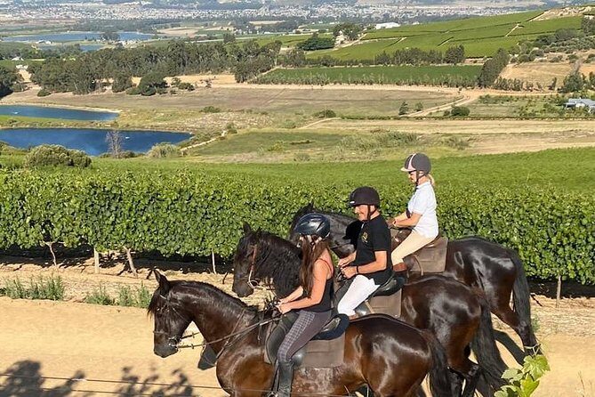 Half Day – Wine Tasting Horse Trail - Fitness and medical considerations (don’t ignore these)
