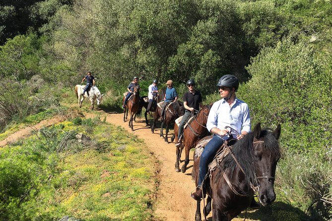 Half Day – Wine Tasting Horse Trail - Who this experience fits best