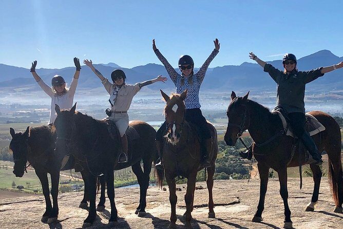 Half Day – Wine Tasting Horse Trail - Why these horses feel rider-friendly (and why that matters)