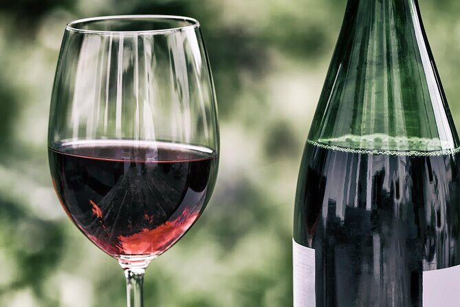 Half Day Wine Tour from Cape Town - The guides are part of the product: Doney, Leticia, Ivy, and Johnny