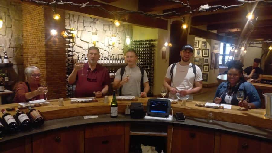 half day wine tour & Safaris[Morning /Afternoon] - Half-day Cape Winelands: what you’re really paying for in 270 minutes