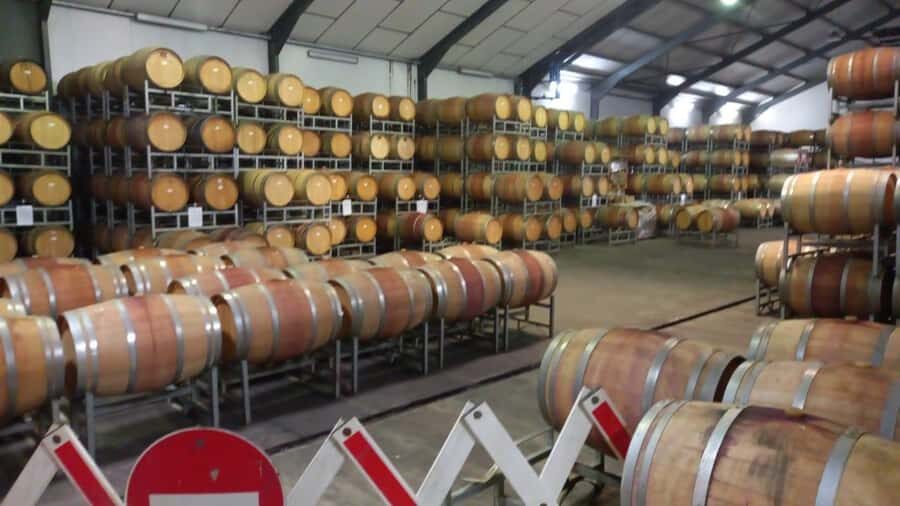 half day wine tour & Safaris[Morning /Afternoon] - Cape Winelands segment: first tasting, a wildlife window, and the value of guided pacing