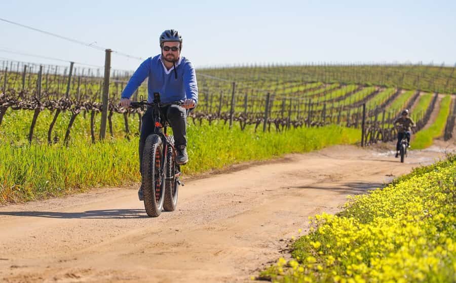 Half-Day Winelands E-Bike Tour with Wine Tasting - From Cape Town pickup to the Winelands: how the timing really feels