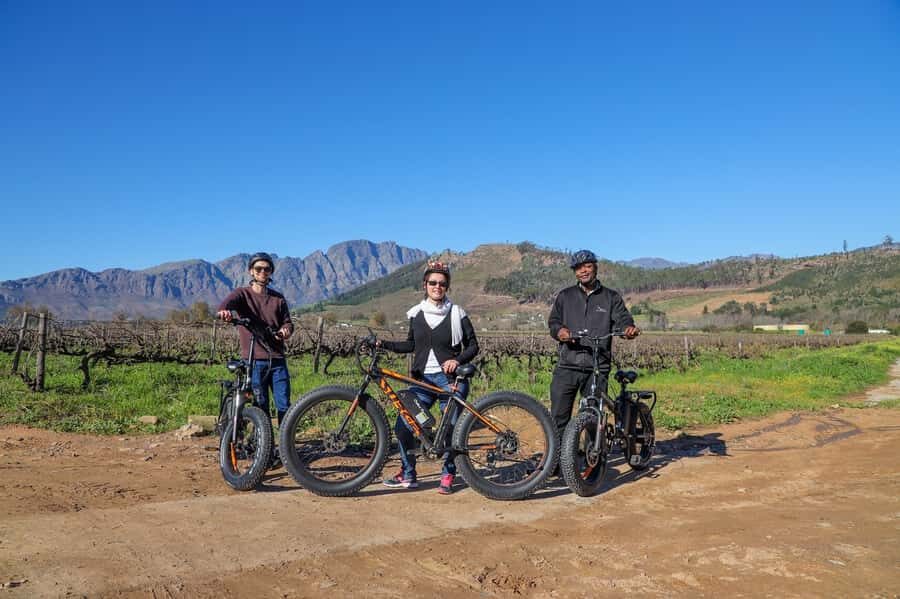 Half-Day Winelands E-Bike Tour with Wine Tasting - Guides: the difference between a good tour and a great one