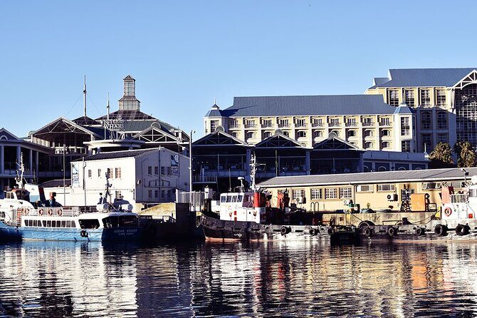 Half Hour Seal and Harbour Cruise from Cape Town - Price and value: why $4.04 feels surprisingly reasonable