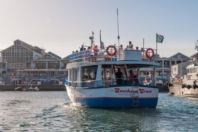 Half Hour Seal and Harbour Cruise from Cape Town - What you’ll actually see: seals, bird life, and the working harbour reality
