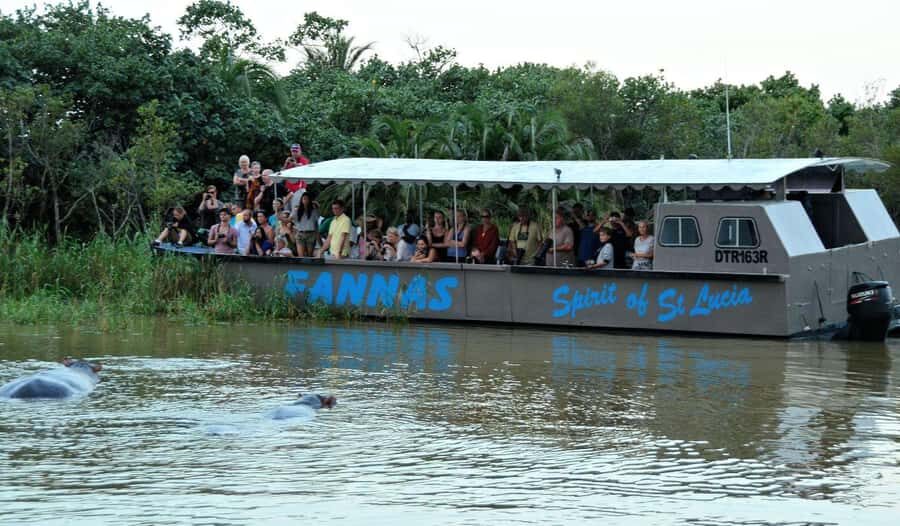 HalfDay Hippo & Croc Boat Cruise Isimangaliso f Richards Bay - Practical tips for better spotting (and better photos)