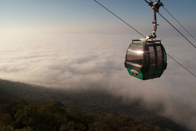 Harties Cableway Experience Ticket - Should you book the Harties Cableway Experience Ticket?