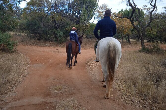 Harties Horse Trail Safari Half day - Key Things You’ll Notice on This Harties Horse Trail Safari