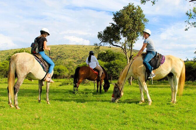 Harties Horse Trail Safari Half day - What’s Included (and What You’ll Need to Add Yourself)