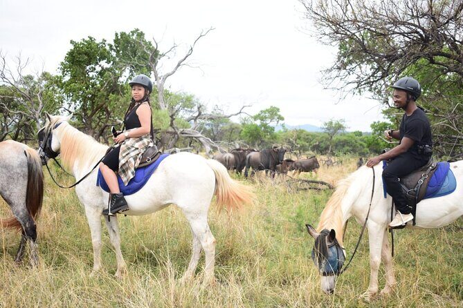 Harties Horse Trail Safari Half day - Who Should Book This Horse Trail Safari (and Who Might Want Another Option)