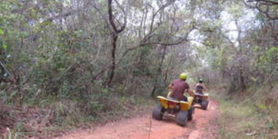 Hazyview : 30 minutes Quad Ride - Group size and timing: how the max 5 setup affects your ride