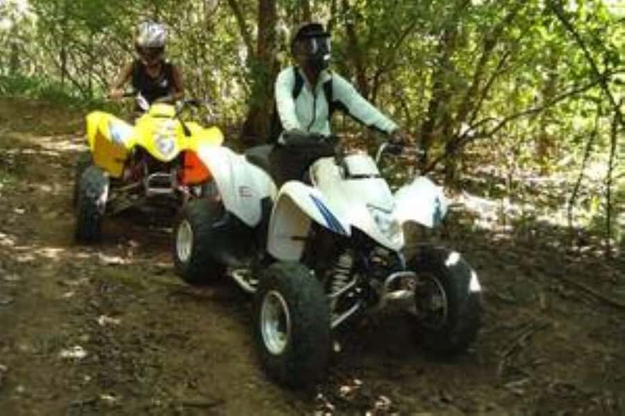 Hazyview: Guided Macadamia Plantation and Forest Quad Safari - Key highlights you’ll feel fast