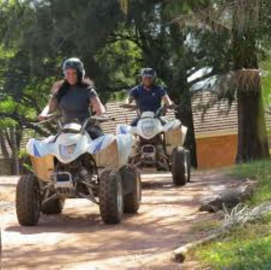 Hazyview: Guided Macadamia Plantation and Forest Quad Safari - Hazyview quad safari: what you’re actually signing up for